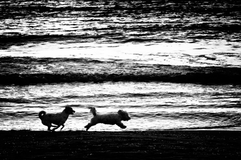 Clicca per l'immagine full size