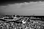 IMG_9755_1+.jpg
