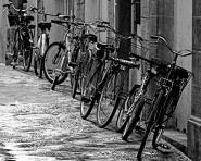 Filename=erwitt-12.jpg
Filesize=347KB
Dimensions=800x640
Date added=Dec 06, 2007 erwitt-12.jpg