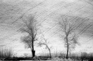 infrared-18.jpg