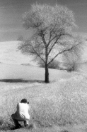 infrared-19.jpg infrared-19.jpg