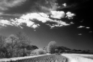 infrared-28.jpg infrared-28.jpg