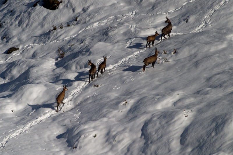 Clicca per l'immagine full size