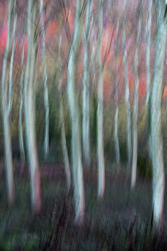Clicca per l'immagine full size