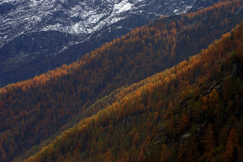 Clicca per l'immagine full size