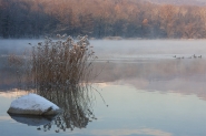 _MG_2531.jpg