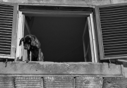 Filename=_MG_5571.jpg
Filesize=288KB
Dimensions=1200x834
Date added=Nov 18, 2015 _MG_5571.jpg