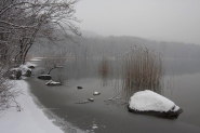 Filename=_MG_8411.jpg
Filesize=328KB
Dimensions=1200x800
Date added=Feb 06, 2015 _MG_8411.jpg