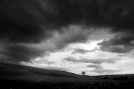 Orctree_sky1.jpg Orctree_sky1.jpg