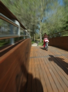 Nome File=alice.jpg
Dimensione File=153KB
Dimensioni=549x737
Data aggiunta=Apr 20, 2008 alice.jpg