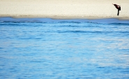 Nome File=bodybeach.jpg
Dimensione File=166KB
Dimensioni=737x452
Data aggiunta=Gen 08, 2008 bodybeach.jpg