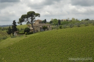 Nome File=chiantiWine.jpg
Dimensione File=289KB
Dimensioni=822x550
Data aggiunta=Mag 23, 2010 chiantiWine.jpg