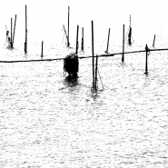 Nome File=grafMARIN-.jpg
Dimensione File=253KB
Dimensioni=701x701
Data aggiunta=Lug 04, 2008 grafMARIN-.jpg