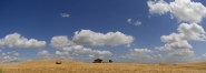 panoramicTUSC.jpg panoramicTUSC.jpg