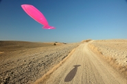 Nome File=spoonway.jpg
Dimensione File=195KB
Dimensioni=722x480
Data aggiunta=Ott 07, 2007 spoonway.jpg