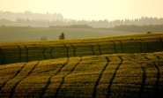 Nome File=whenthesungoesdawn.jpg
Dimensione File=146KB
Dimensioni=722x434
Data aggiunta=Giu 17, 2010 whenthesungoesdawn.jpg