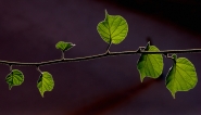 001-001.JPG 001-001.JPG