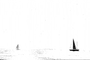 Nome File=regata2+.jpg
Dimensione File=24KB
Dimensioni=800x533
Data aggiunta=Lug 01, 2008 regata2+.jpg