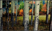 autunno12.jpg autunno12.jpg