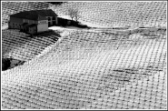 Filename=poderi_scanavinob.jpg
Filesize=169KB
Dimensions=800x530
Date added=Oct 26, 2007 poderi_scanavinob.jpg