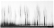 Nome File=riflessi5.jpg
Dimensione File=55KB
Dimensioni=1000x527
Data aggiunta=Apr 08, 2008 riflessi5.jpg