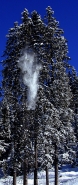 snow-fall-2.jpg