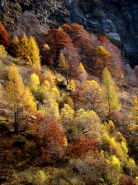DSC05009.jpg
