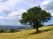 IMG_2418.JPG