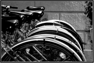 BW_Biciclette.jpg