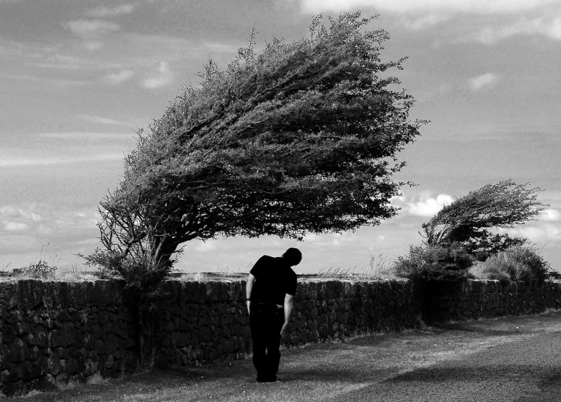 Clicca per l'immagine full size