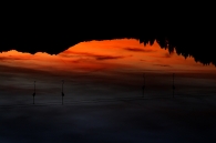 Flamingos_on_the_gilded_lake~0.jpg Flamingos_on_the_gilded_lake~0.jpg