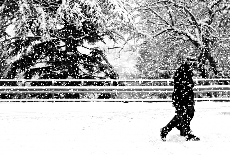 Clicca per l'immagine full size