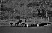 DSC_003013193.jpg DSC_003013193.jpg