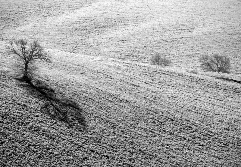 Clicca per l'immagine full size