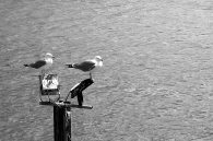IMG_0011~2.JPG IMG_0011~2.JPG