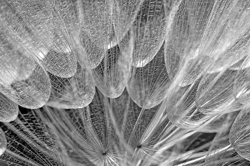 Clicca per l'immagine full size