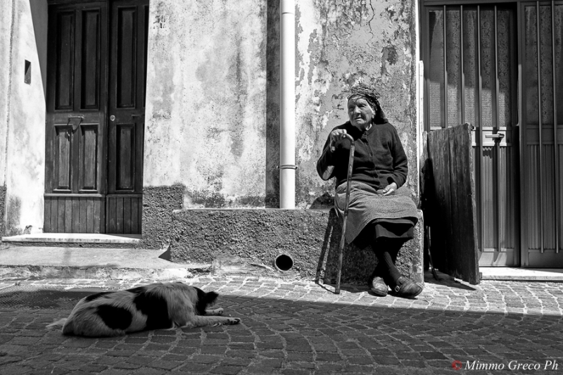 Clicca per l'immagine full size