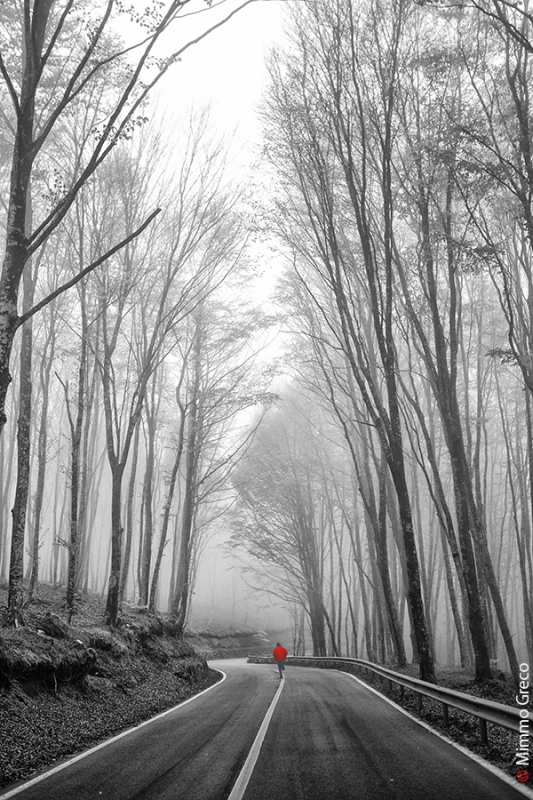 Clicca per l'immagine full size