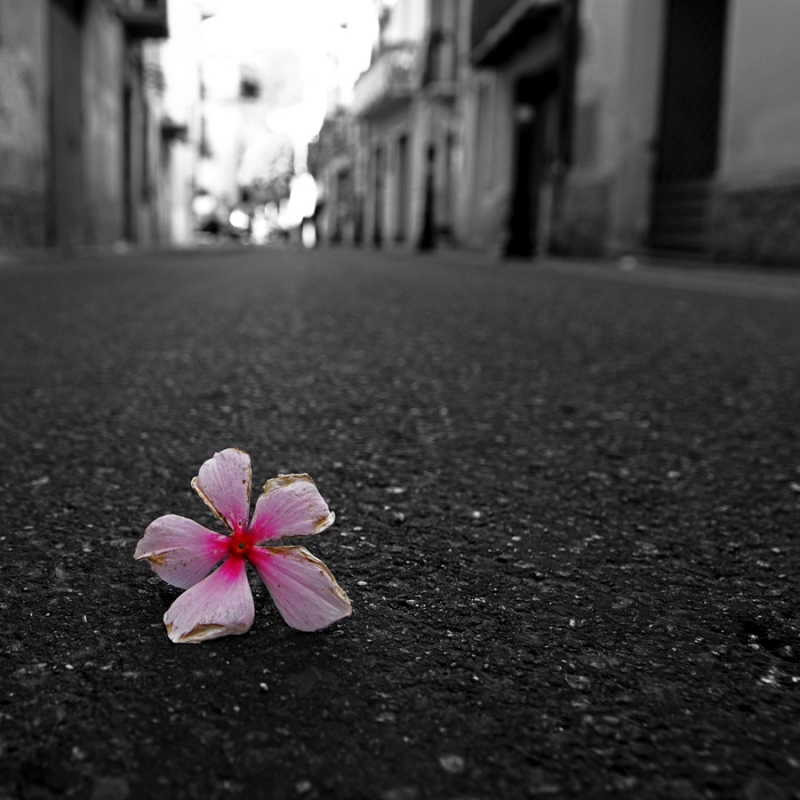 Clicca per l'immagine full size