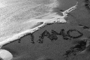 Nome File=__i_amo_800.jpg
Dimensione File=329KB
Dimensioni=800x532
Data aggiunta=Lug 10, 2007 __i_amo_800.jpg
