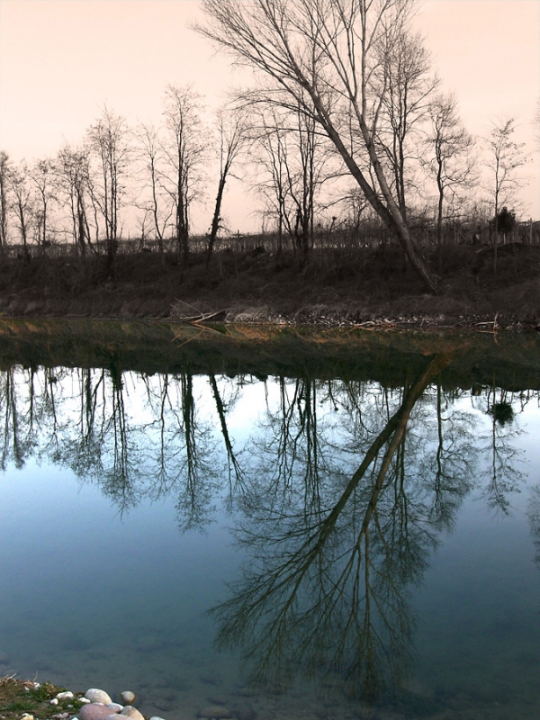 Clicca per l'immagine full size