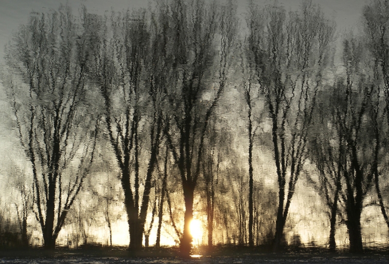 Clicca per l'immagine full size
