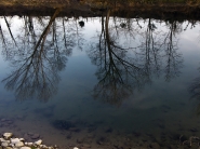 riflessi.jpg riflessi.jpg