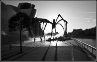 Attacco_al_guggenheim-1_WEB-2.jpg