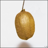 Nome File=kiwi_still_life_copia.jpg
Dimensione File=377KB
Dimensioni=800x800
Data aggiunta=Dic 23, 2009 kiwi_still_life_copia.jpg