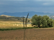 Lagarò.jpg