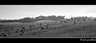 Filename=_MG_8321.jpg
Filesize=243KB
Dimensions=1000x447
Date added=Mar 06, 2009 _MG_8321.jpg