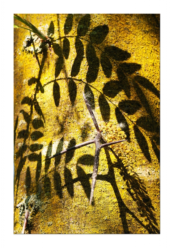 Clicca per l'immagine full size
