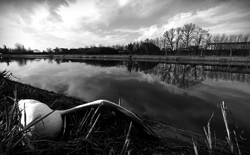 Clicca per l'immagine full size