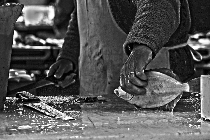 Clicca per l'immagine full size